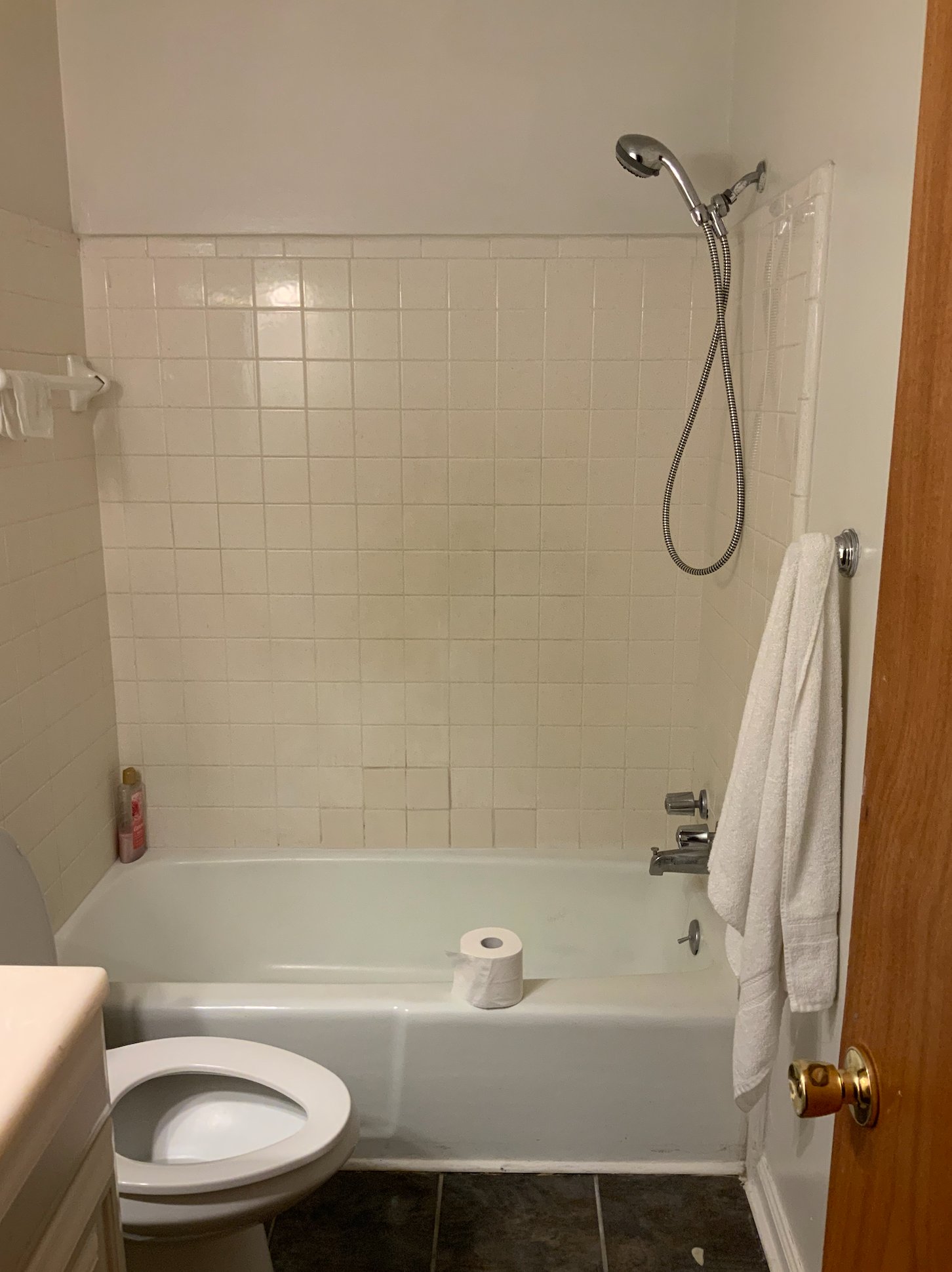 Main Bathroom before